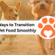 12 Best Ways to Transition Dogs to Wet Food Smoothly