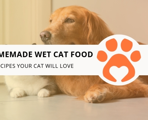 10 Homemade Wet Cat Food Recipes Your Cat Will Love