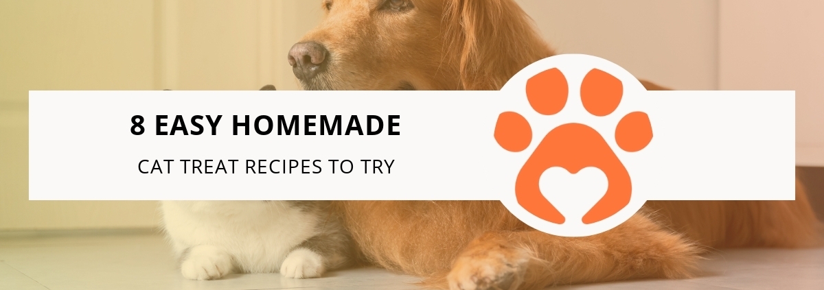 8 Easy Homemade Cat Treat Recipes to Try