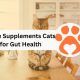 8 Digestive Supplements Cats Need for Gut Health