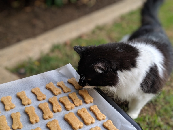 High-Value Treats