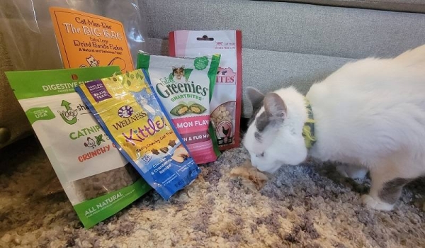 Mix Treats with a Favorite Food