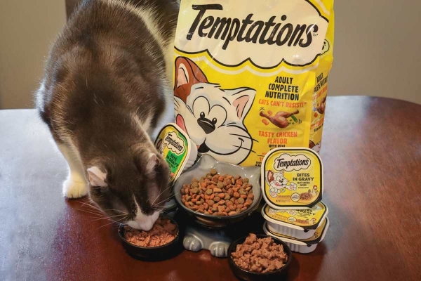 Treats at Mealtime