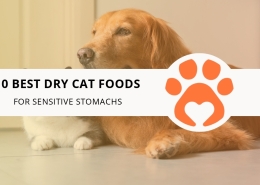 12 High-Protein Cat Treats Your Cat Will Love