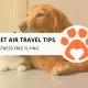 10 Best Pet Air Travel Tips for Stress-Free Flying