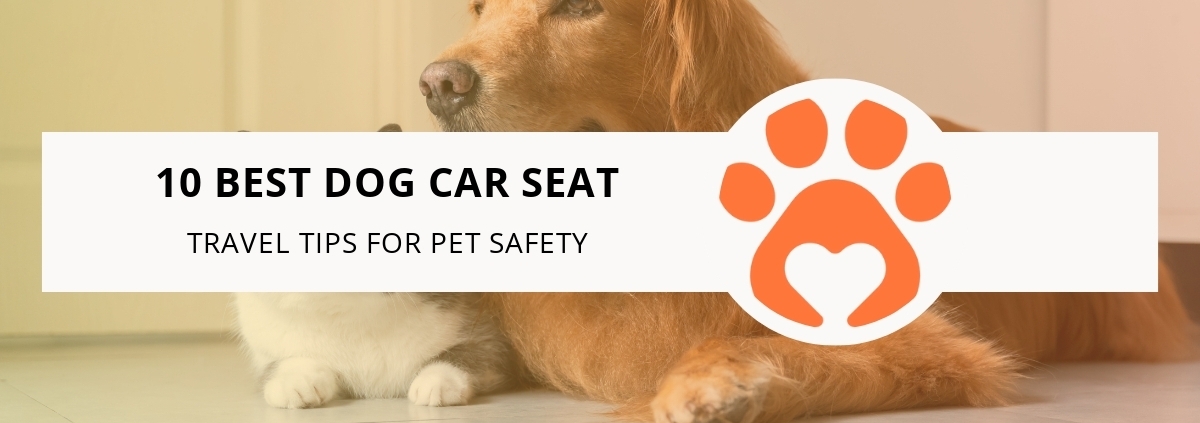 10 Best Dog Car Seat Travel Tips for Pet Safety
