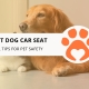 10 Best Dog Car Seat Travel Tips for Pet Safety