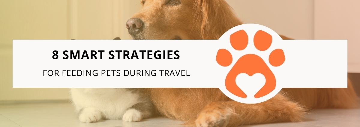 8 Smart Strategies for Feeding Pets During Travel