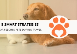 8 Smart Strategies for Feeding Pets During Travel