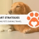 8 Smart Strategies for Feeding Pets During Travel