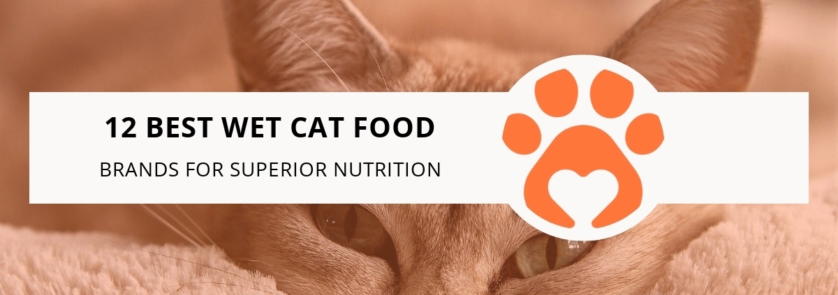 12 Best Wet Cat Food Brands for Superior Nutrition