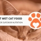 12 Best Wet Cat Food Brands for Superior Nutrition