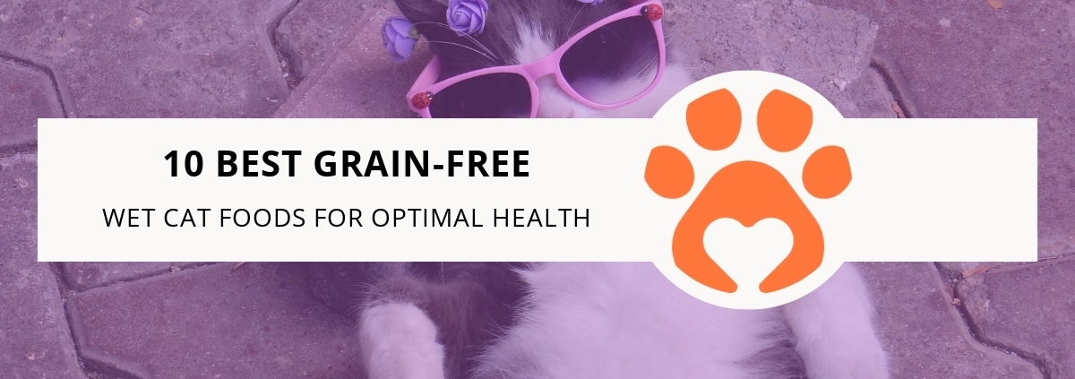 10 Best Grain-Free Wet Cat Foods for Optimal Health