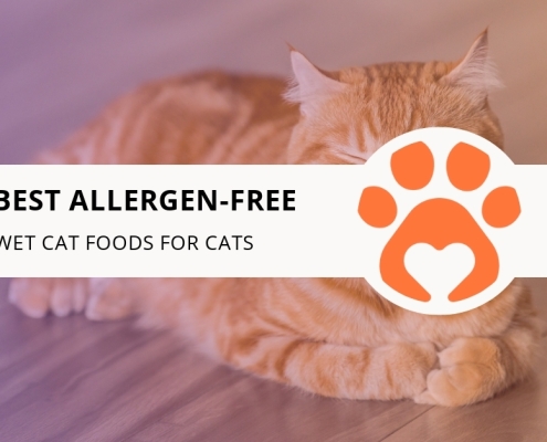 10 Best Allergen-Free Wet Cat Foods for Cats