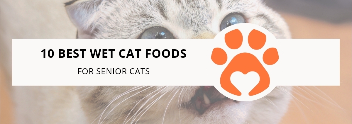 10 Best Wet Cat Foods for Senior Cats