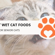 10 Best Wet Cat Foods for Senior Cats