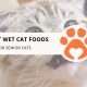 10 Best Wet Cat Foods for Senior Cats