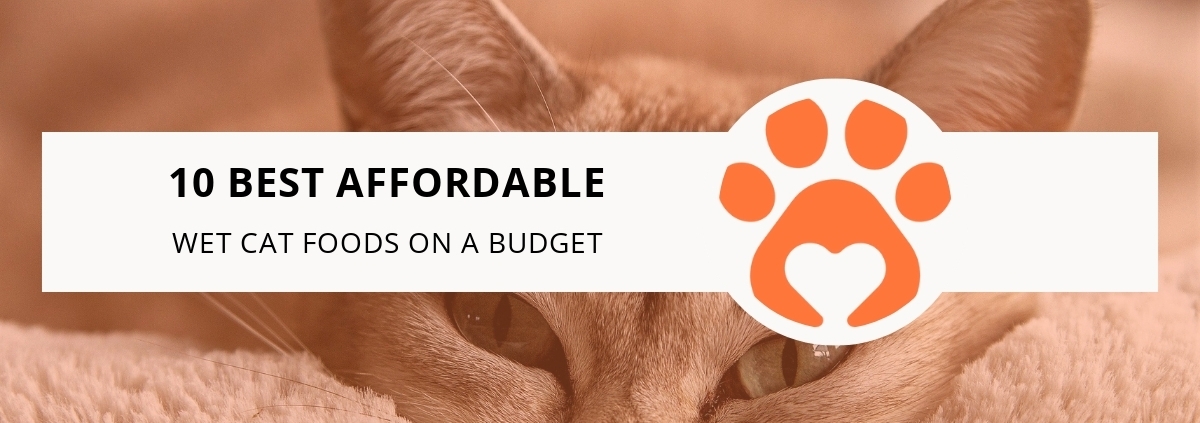 10 Best Affordable Wet Cat Foods on a Budget
