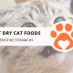 10 Best Dry Cat Foods for Sensitive Stomachs