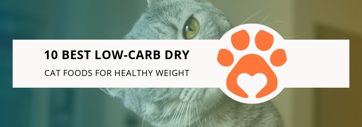 10 Best Low-Carb Dry Cat Foods for Healthy Weight