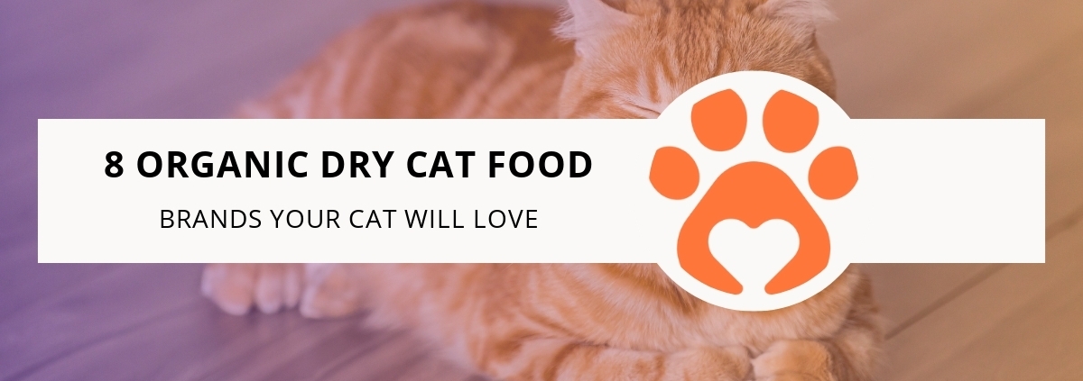 8 Organic Dry Cat Food Brands Your Cat Will Love