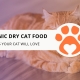 8 Organic Dry Cat Food Brands Your Cat Will Love