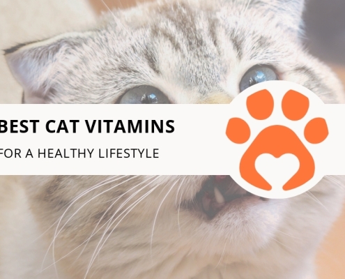 8 Best Cat Vitamins for a Healthy Lifestyle