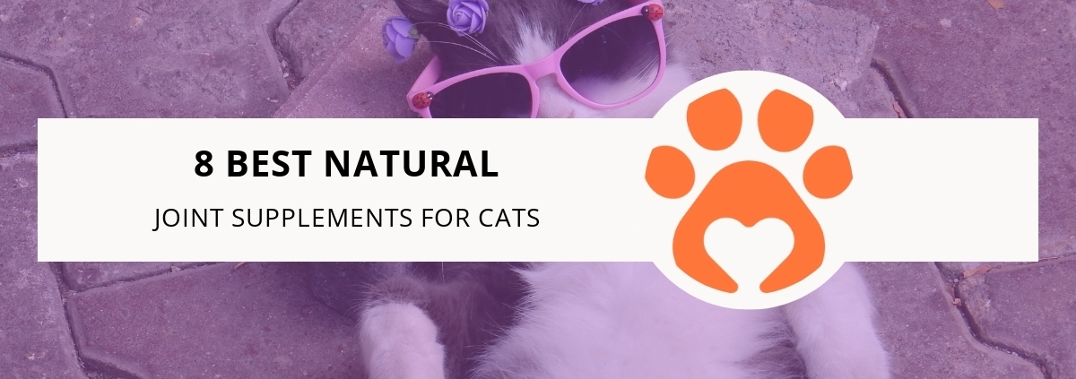 8 Best Natural Joint Supplements for Cats
