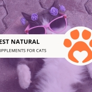 8 Best Natural Joint Supplements for Cats