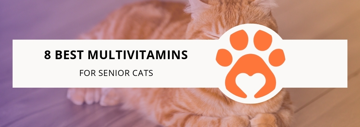 8 Best Multivitamins for Senior Cats