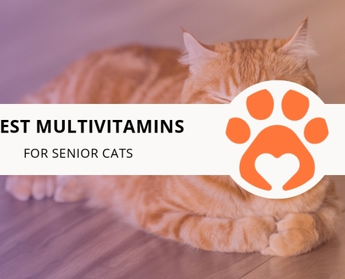 8 Best Multivitamins for Senior Cats