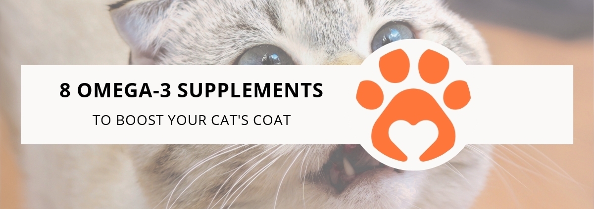 8 Omega-3 Supplements to Boost Your Cat's Coat
