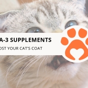8 Omega-3 Supplements to Boost Your Cat's Coat