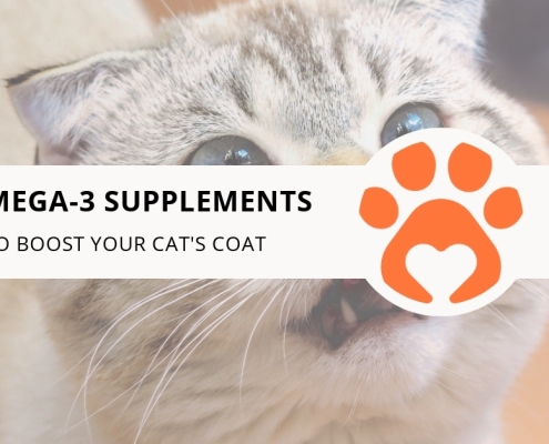 8 Omega-3 Supplements to Boost Your Cat's Coat