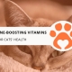 8 Top Immune-Boosting Vitamins for Cats' Health