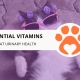 8 Essential Vitamins for Cat Urinary Health