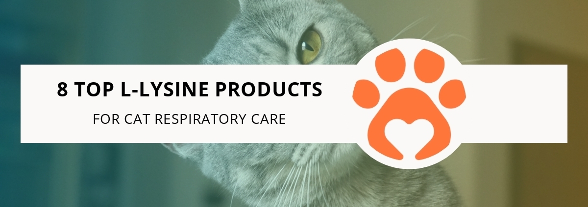 8 Top L-Lysine Products for Cat Respiratory Care