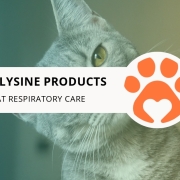 8 Top L-Lysine Products for Cat Respiratory Care