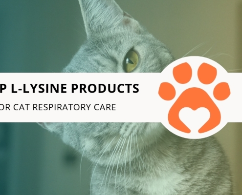 8 Top L-Lysine Products for Cat Respiratory Care