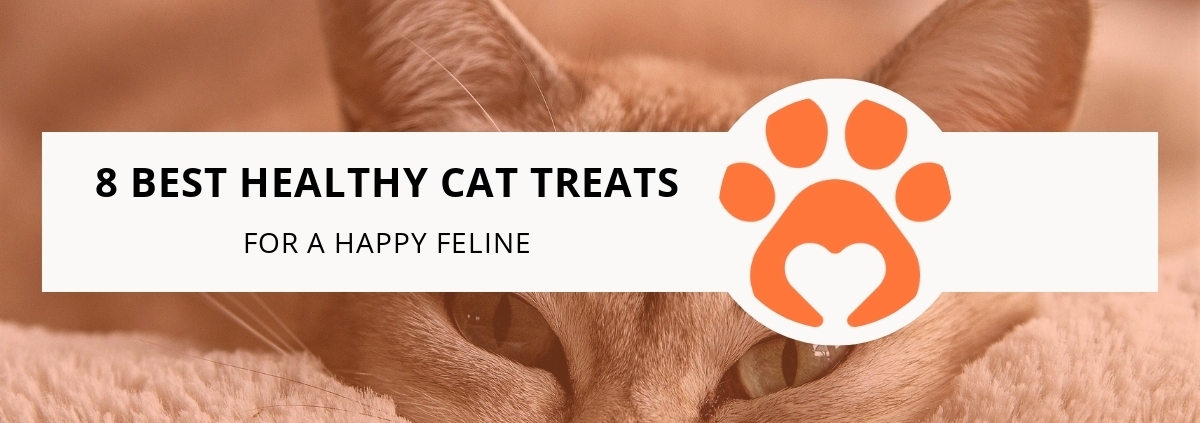 8 Best Healthy Cat Treats for a Happy Feline