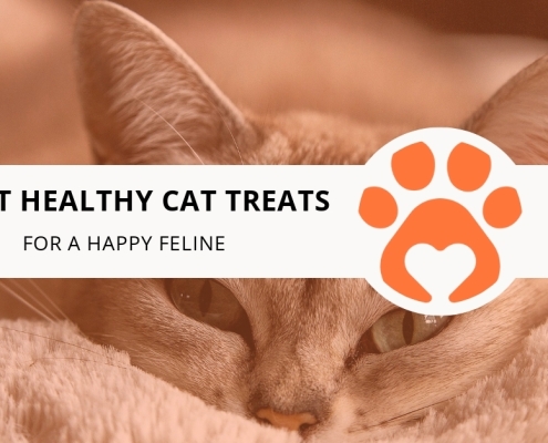 8 Best Healthy Cat Treats for a Happy Feline