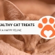 8 Best Healthy Cat Treats for a Happy Feline