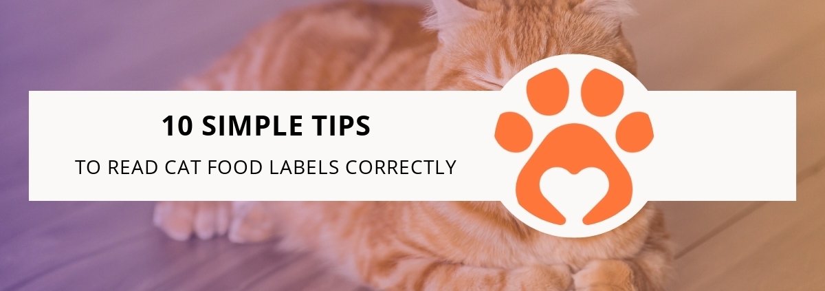10 Simple Tips to Read Cat Food Labels Correctly