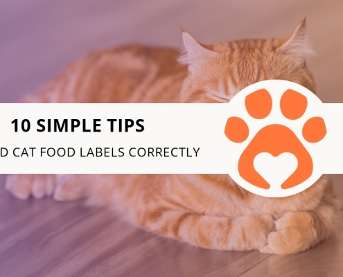10 Simple Tips to Read Cat Food Labels Correctly
