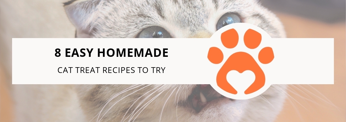 8 Easy Homemade Cat Treat Recipes to Try