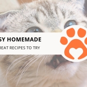 8 Easy Homemade Cat Treat Recipes to Try