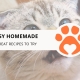 8 Easy Homemade Cat Treat Recipes to Try