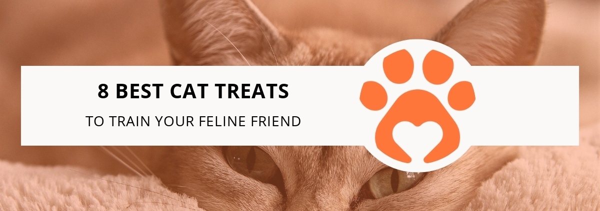 8 Best Cat Treats to Train Your Feline Friend