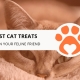 8 Best Cat Treats to Train Your Feline Friend