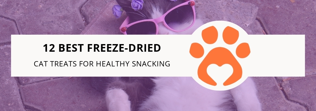 12 Best Freeze-Dried Cat Treats for Healthy Snacking